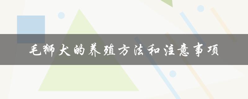 毛狮犬的养殖方法和注意事项（打造健康快乐的宠物生活）