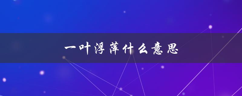 一叶浮萍什么意思（一叶浮萍归何处）