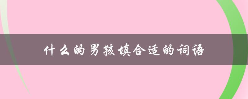 什么的男孩填合适的词语（适合填什么样的男孩）