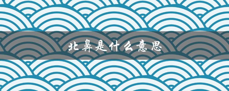北鼻是什么意思（老北鼻是什么意思）