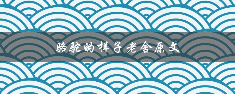 骆驼的样子老舍原文（老舍写了哪本小说）
