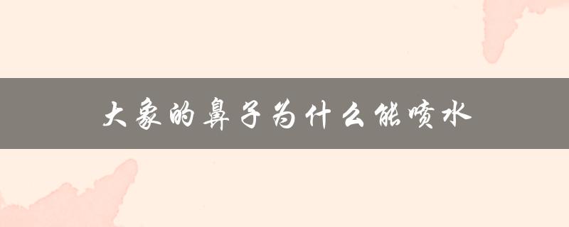 大象的鼻子为什么能喷水（为什么大象的鼻子会喷水）