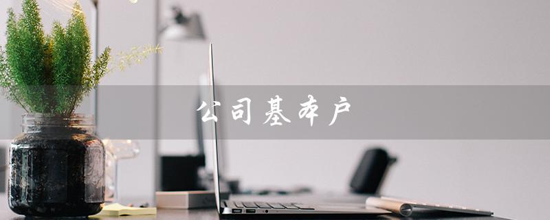 公司基本户（公司基本户可开几个）