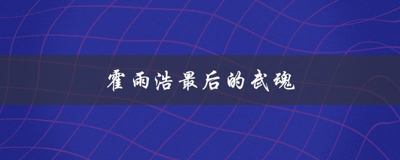 霍雨浩最后的武魂（霍雨浩的武魂融合技是什么）