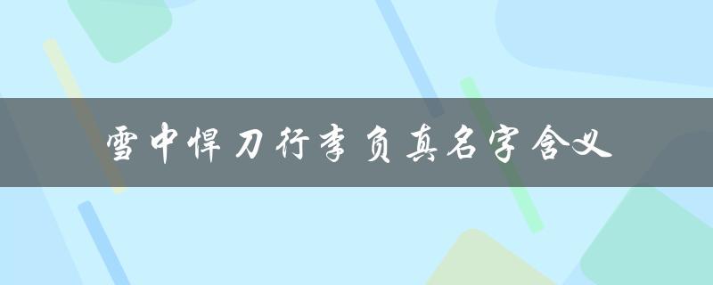 雪中悍刀行李负真名字含义解析