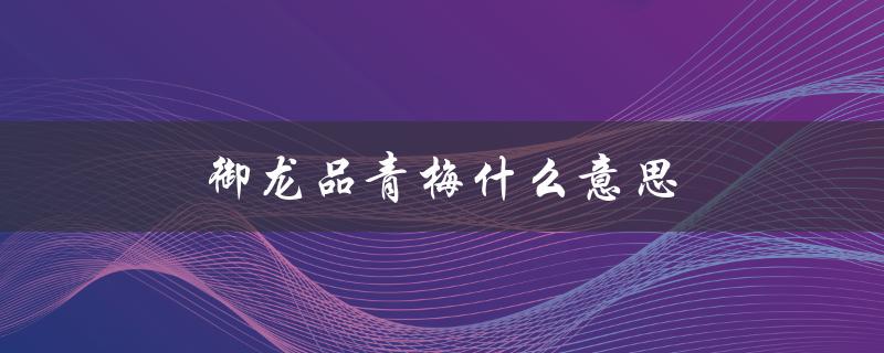 御龙品青梅什么意思（御龙品青梅唱的是什么）