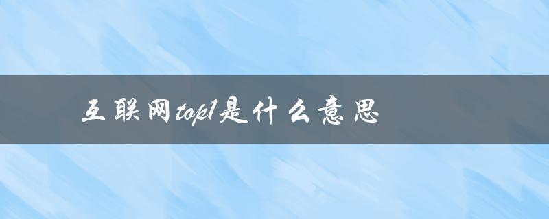 互联网top1是什么意思（解析互联网第一名的含义）