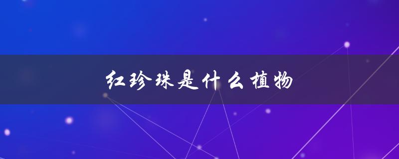 红珍珠是什么植物（根鸟里红珍珠是何植物）