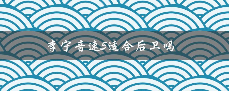 李宁音速5适合后卫吗（李宁音速10是什么）