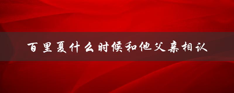 百里夏的寻亲之旅