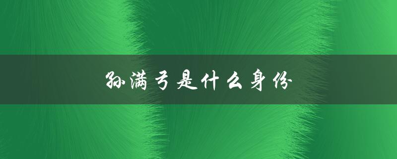 孙满弓是什么身份（赵甲与蔡姨见面几次）