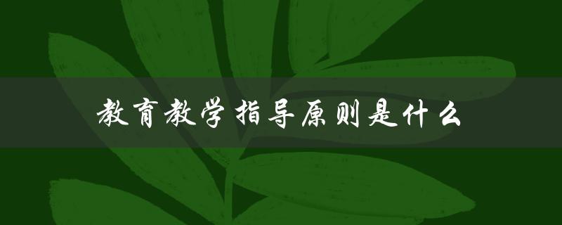 教育教学指导原则是什么（教育教学期刊级别）