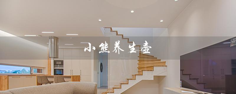 小熊养生壶（小熊养生壶价格及图片）