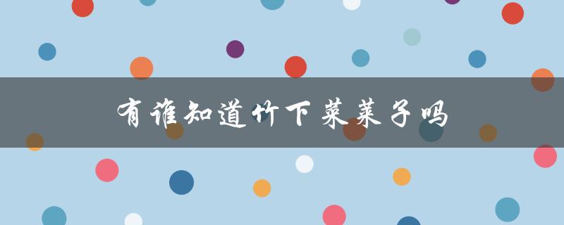 探寻竹下菜莱子的成长历程与作品特色