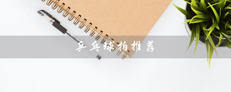 乒乓球拍推荐（乒乓球拍性价比高的推荐）