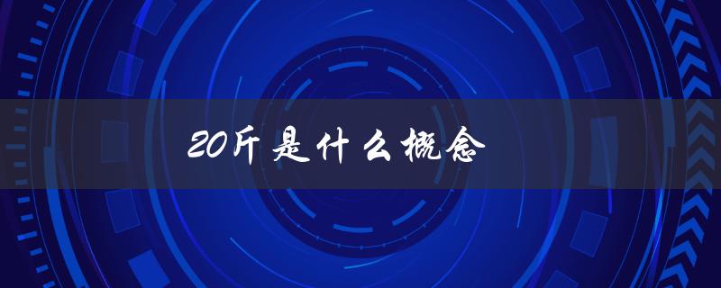 20斤是什么概念（行李箱20斤的意义）