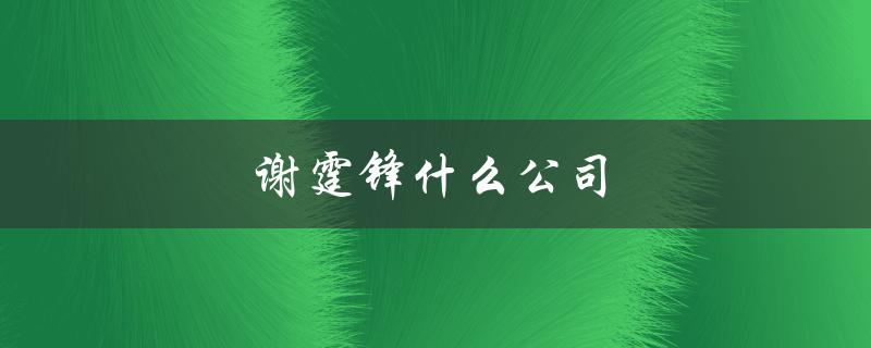 谢霆锋什么公司（谢霆锋公司上市了吗）