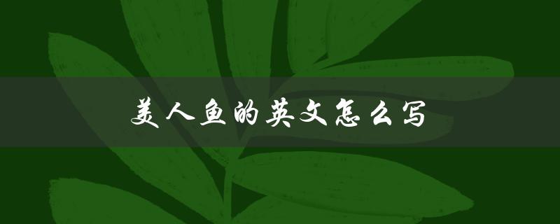 美人鱼的英文怎么写（美人鱼的英文怎么写）