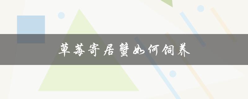 草莓寄居蟹如何饲养（草莓寄居蟹饲养环境是什么）