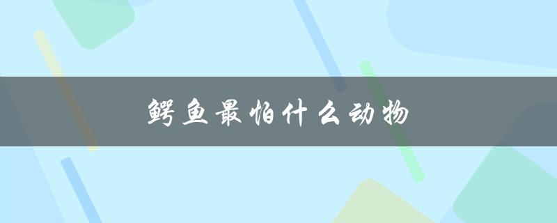 鳄鱼最怕什么动物（鳄鱼最怕哪种动物）
