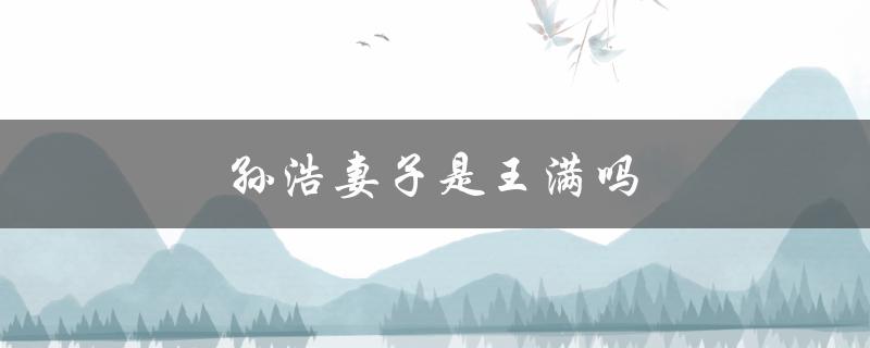 孙浩妻子是王满吗（孙浩的妻子是谁）
