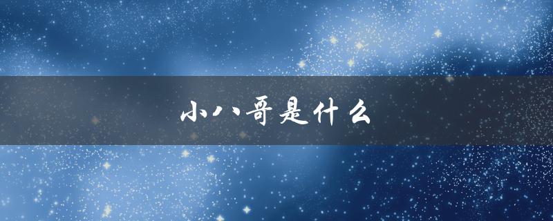 小八哥是什么（小八哥是什么动物）
