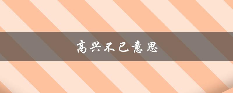 高兴不已意思（何为不亦乐乎）