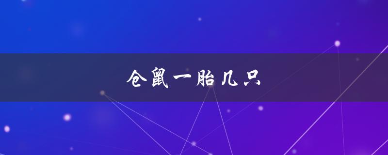 仓鼠一胎几只（仓鼠一年几胎）