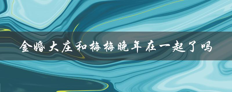 金婚大庄和梅梅晚年在一起了吗（探寻两人的最终归宿）