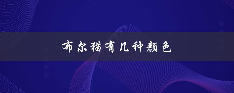 布尔猫的常见毛色类型和特点