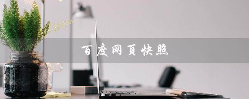 百度网页快照（百度网页快照哪去了）