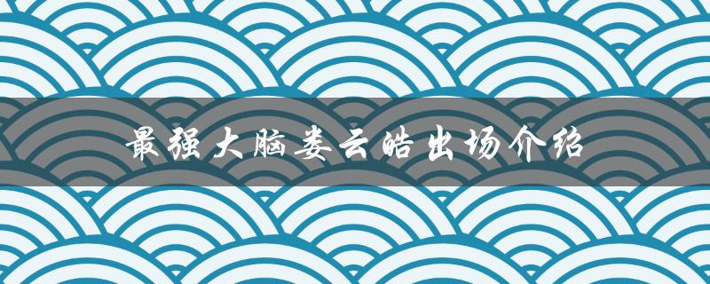 最强大脑娄云皓出场介绍（最强大脑记忆训练法是什么）