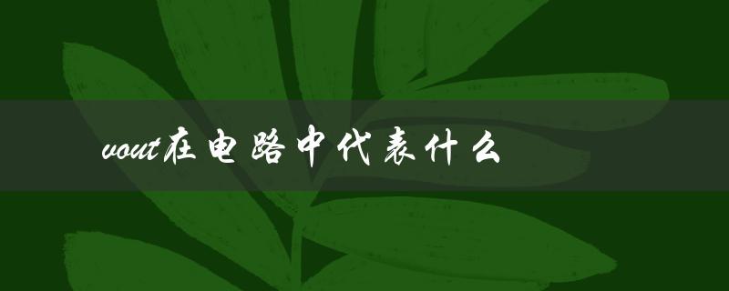 vout在电路中代表什么（输出电压）