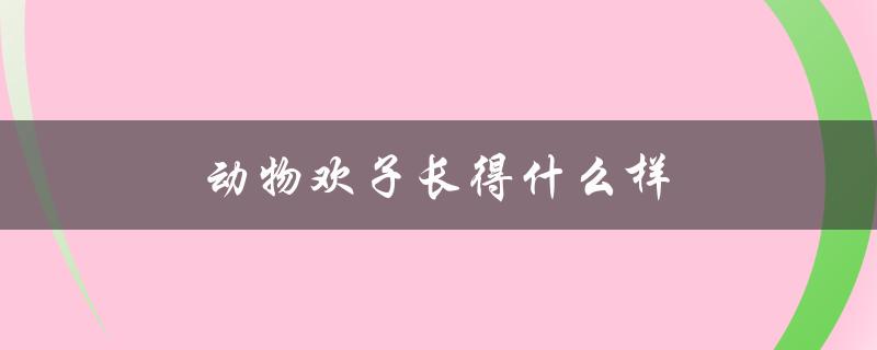 动物欢子长得什么样（欢子动物长啥样）