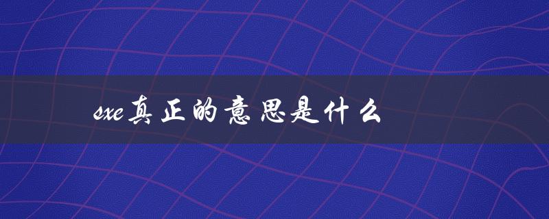 sxe真正的意思是什么（探究Straight Edge文化的本质）
