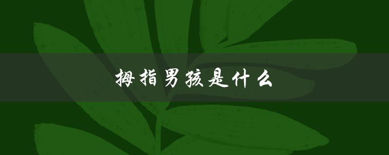 拇指男孩是什么（拇指男孩是什么）