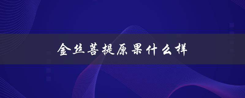 金丝菩提原果什么样（金丝果菩提的寓意是什么）