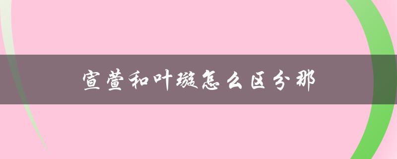 宣萱和叶璇怎么区分那（如何区分叶璇、宣萱和佘诗曼）