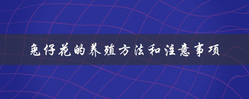 兔仔花的养殖方法和注意事项（从选苗到施肥全攻略）
