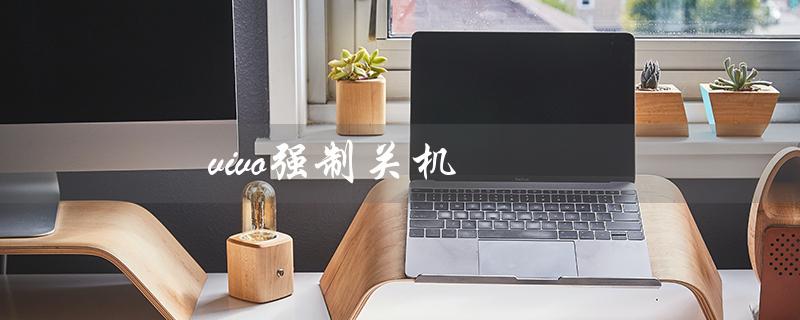 vivo强制关机（vivo强制关机按哪个键）
