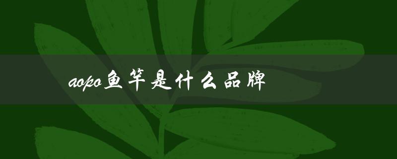 aopo鱼竿是什么品牌（探索钓鱼世界的必备装备）