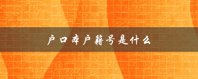 户口本户籍号是什么（户口本公证是啥）