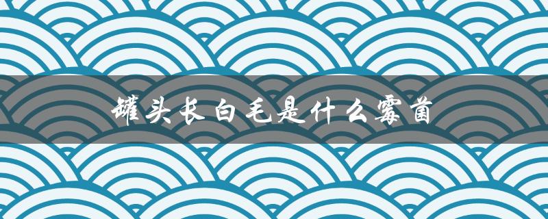 罐头长白毛是什么霉菌（长白毛是哪种霉菌）