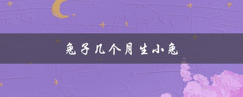 兔子几个月生小兔（兔子生小兔的时间）