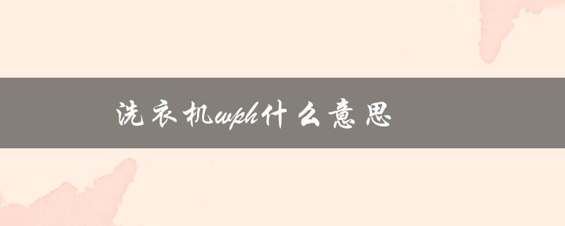 洗衣机wph什么意思（WPH是什么）