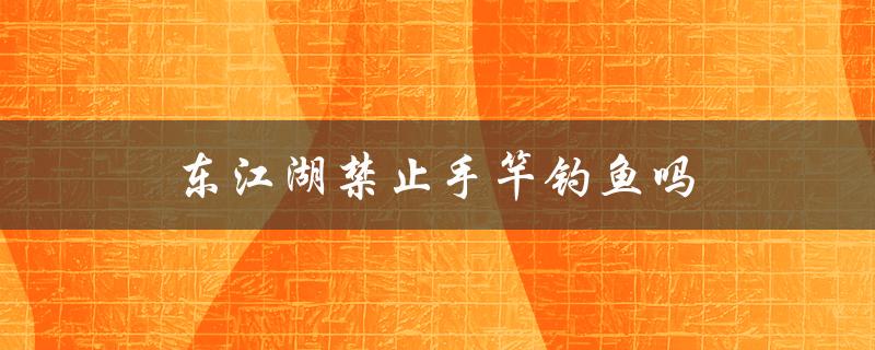 东江湖是否禁止手竿钓鱼？