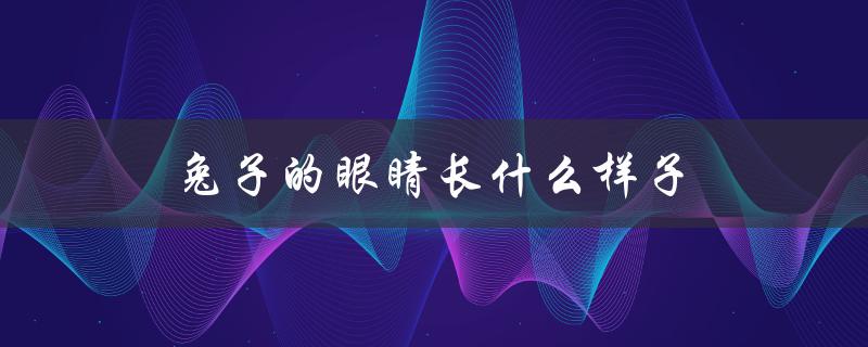 兔子的眼睛长什么样子（兔子的眼睛是什么样的）