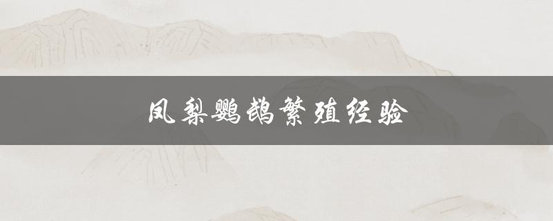 凤梨鹦鹉繁殖经验（凯克鹦鹉如何繁殖）
