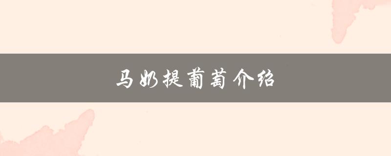 马奶提葡萄介绍（什么是马奶提葡萄）