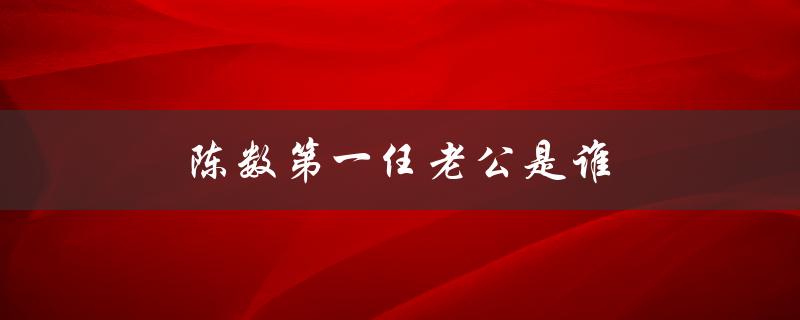 陈数第一任老公是谁（陈数老公是谁）